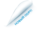 Новый сорт